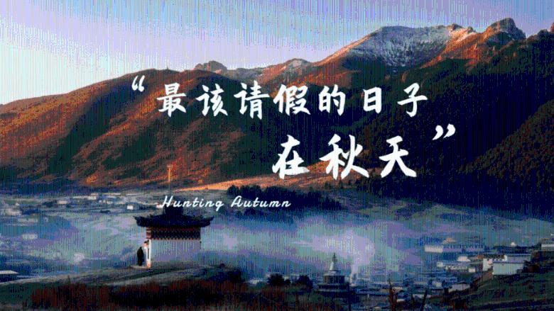 我国自主研发的CPU的情况-知识星球平台,开启知识分享与交流之旅