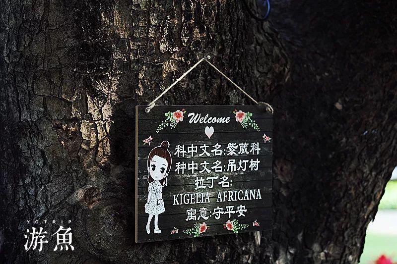 男性患不育与种种炎症有关!