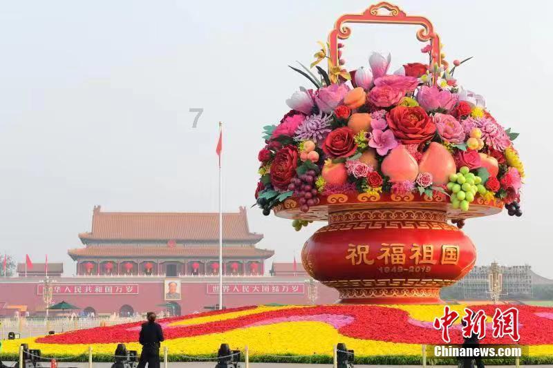 时尚小鸡救援