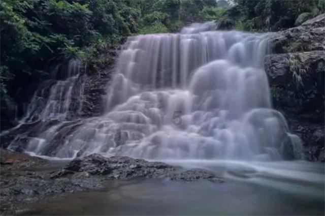 逃离壳牌岛