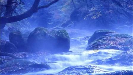 辛芷蕾穿了顶级高定！《繁花》的“李李”实火，优雅美丽大方！